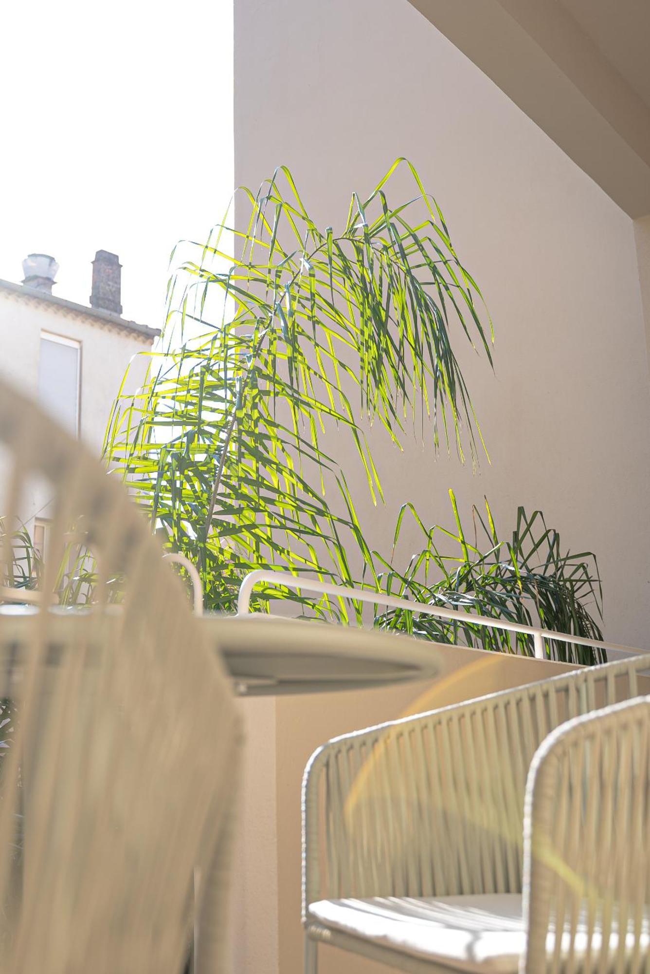 Studios Raffines Avec Terrasses - Plages, Ville Et Gare A Pied - Maison Raphael Saint-Raphaël Exteriér fotografie